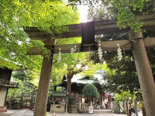 �g�����U��