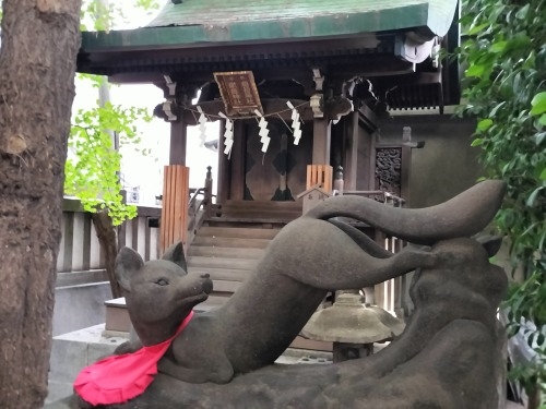 �g�����U��