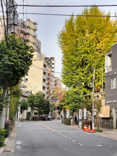 �g�����U��