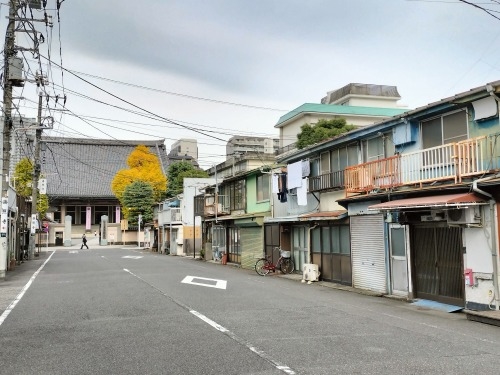 �g�����U���b�Ӊ��d�O�Y�ׂ̂�ڂ��g���V�s�ՂƔ����ƕ��ꌹ���̕��