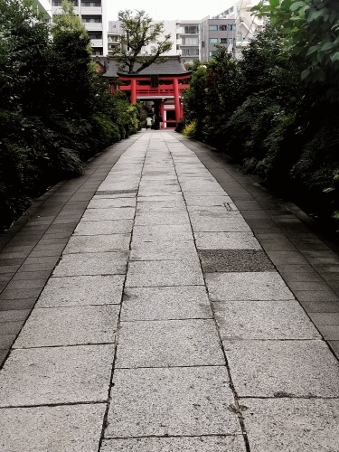 �V����w���U���b�C������Ɛ�c���Y����w�n���S�ɏ���āx�����