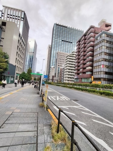 ���q����U���i�����s�V�h��j���q�_�Ђ̖�O���E���q����U�����Ă�