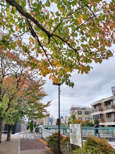 �V����w���U���b�C������Ɛ�c���Y����w�n���S�ɏ���āx�����