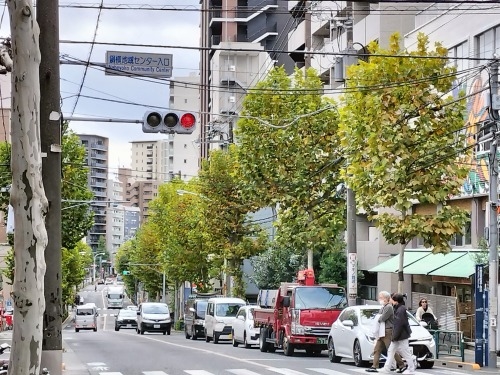 �V����w���U���b�C������Ɛ�c���Y����w�n���S�ɏ���āx�����