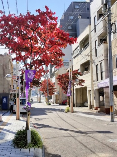 �L���s�����U���b�L���邩�牡��U�����ăJ�L�����D�ݏĂ��Ǝ����܂�