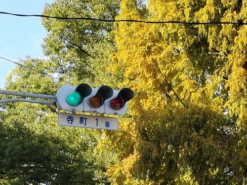 �L���s�����U���b�L���邩�牡��U�����ăJ�L�����D�ݏĂ��Ǝ����܂�