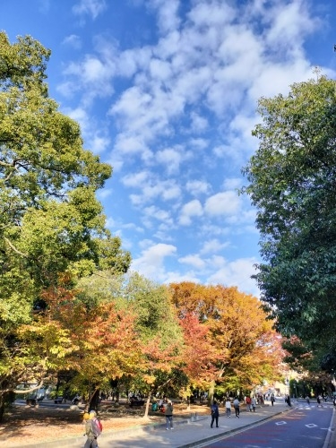 �L���s�����U���b�L���邩�牡��U�����ăJ�L�����D�ݏĂ��Ǝ����܂�