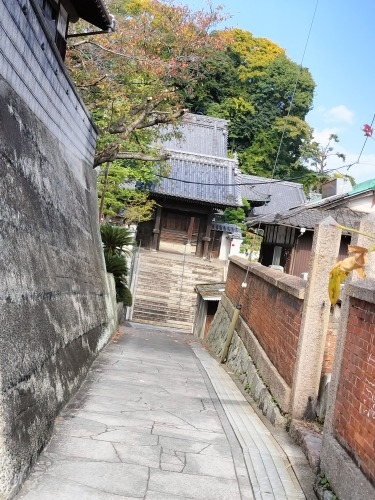 ���˂��U���b���ː��� ��l�̊X���݂Ɖ��ː��� �k�B�n�̊X���ݎU��