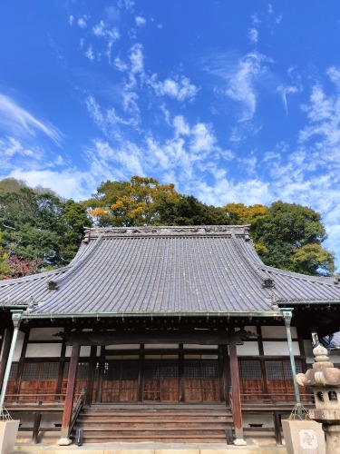 ���˂��U���b���ː��� ��l�̊X���݂Ɖ��ː��� �k�B�n�̊X���ݎU��