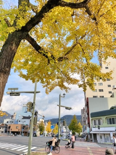 �����U���b�f��@�w���̐��E�̕Ћ��Ɂx�ɂłĂ�����̊X���݂��U����