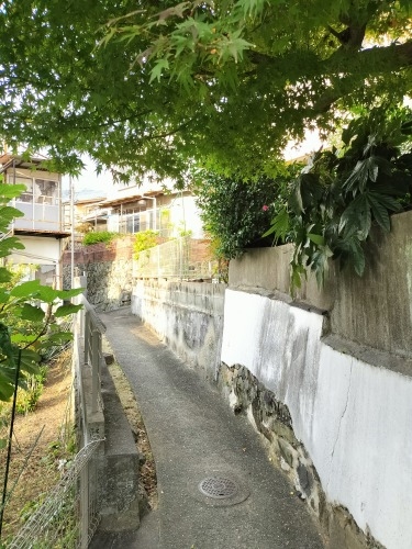 �����U���b�f��@�w���̐��E�̕Ћ��Ɂx�ɂłĂ�����̊X���݂��U����