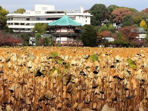 ��k�����U���b