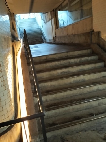 ��k�����U���b���j���[�A�����������뉀�Ɩ������w�Ղ��U������