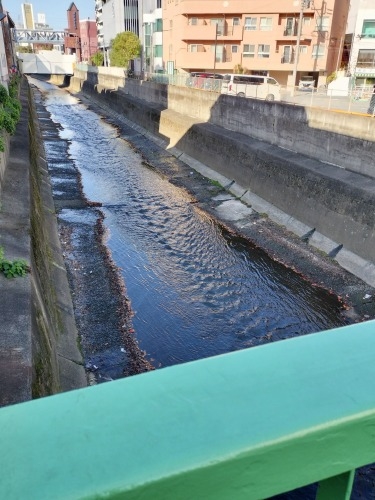 高田馬場から散歩|馬場から夏目漱石晩年に生活した場所と関孝和墓所