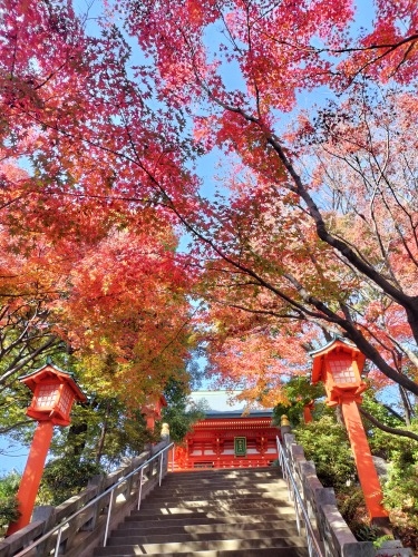 高田馬場から散歩|馬場から夏目漱石晩年に生活した場所と関孝和墓所