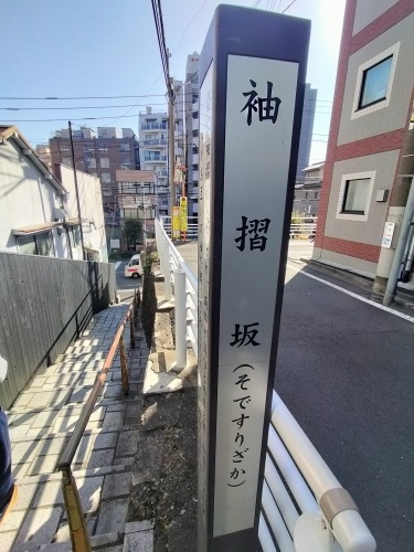 ���U��i�V�h�扡�����j�ق�Ƃɂ���Ⴂ���܂ɑ��������̂�����