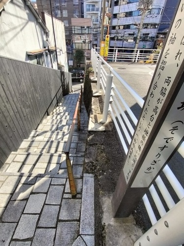 ���U��i�V�h�扡�����j�ق�Ƃɂ���Ⴂ���܂ɑ��������̂�����