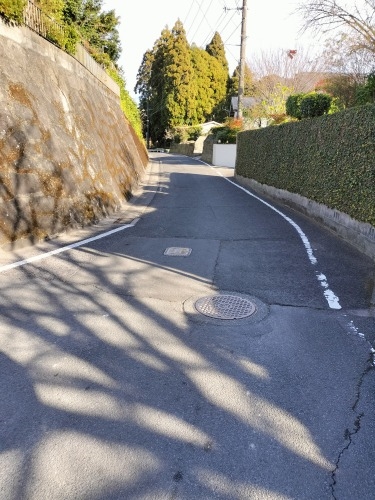 �ɏW�@���U���b���Ë`�O�̏鉺���ƗL�n�V���̕�ɂ��Q������Ă݂�