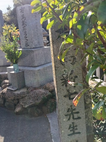 �ɏW�@���U���b���Ë`�O�̏鉺���ƗL�n�V���̕�ɂ��Q������Ă݂�