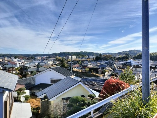 �ɏW�@���U���b���Ë`�O�̏鉺���ƗL�n�V���̕�ɂ��Q������Ă݂�