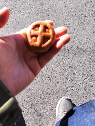 �ɏW�@���U���b���Ë`�O�̏鉺���ƗL�n�V���̕�ɂ��Q������Ă݂�