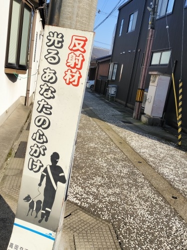 金谷本町を散歩|鋳物師の街と石畳・千本格子は美しい風景だと思った