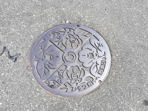 マンホール関東・中部編 マンホールにはその魅力が満載 下をみて歩こう