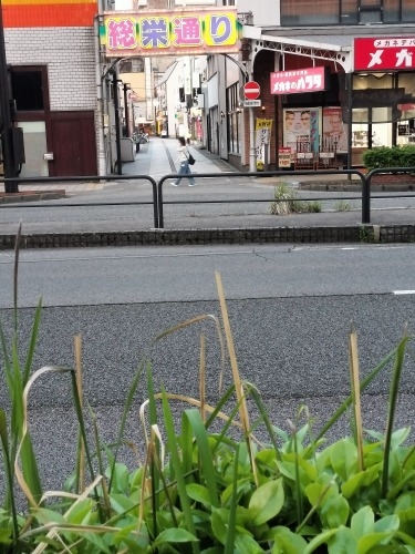 富山市内を散歩|夕暮れの富山城と繁華街を散歩してみたらすてきだわ
