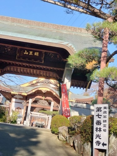 鴨居を散歩|