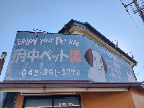 �������U���b�V��g�ߓ��E���ƂƑ����쉀�ɖ�����{���������l����