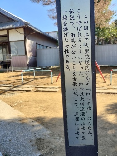 �R������U���i�V�h6���ځj���c����̎R���`���ɂ��Ȃ񂾍₪������