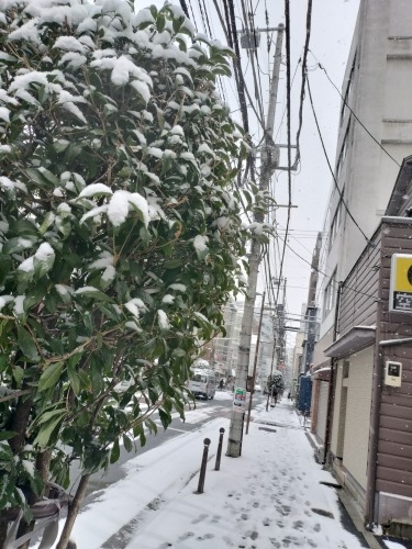 水道橋から散歩|雪降る路地散歩・文豪が住んだ街本郷はどんな街か?