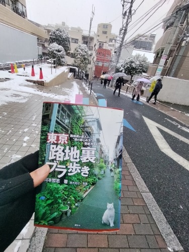 水道橋から散歩|雪降る路地散歩・文豪が住んだ街本郷はどんな街か?