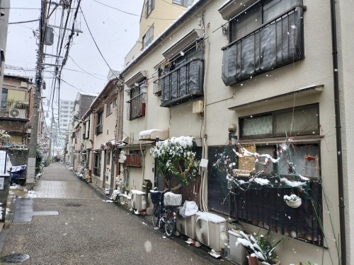 水道橋から散歩|雪降る路地散歩・文豪が住んだ街本郷はどんな街か?