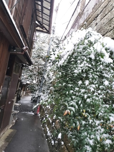 水道橋から散歩|雪降る路地散歩・文豪が住んだ街本郷はどんな街か?