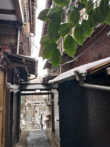 水道橋から散歩|雪降る路地散歩・文豪が住んだ街本郷はどんな街か?
