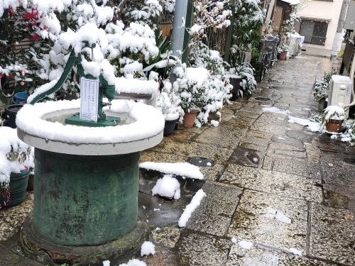 水道橋から散歩|雪降る路地散歩・文豪が住んだ街本郷はどんな街か?