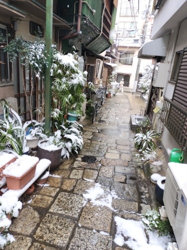 水道橋から散歩|雪降る路地散歩・文豪が住んだ街本郷はどんな街か?