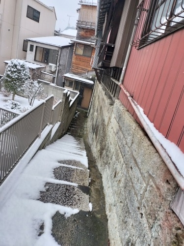 水道橋から散歩|雪降る路地散歩・文豪が住んだ街本郷はどんな街か?