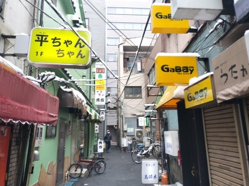 水道橋から散歩|雪降る路地散歩・文豪が住んだ街本郷はどんな街か?